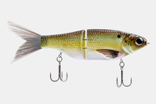 Load image into Gallery viewer, Spro Chad Shad