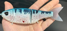 Load image into Gallery viewer, Throwback Baits Metro Glide