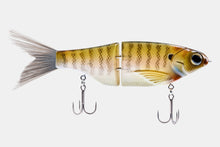 Load image into Gallery viewer, Spro Chad Shad