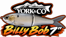 Load image into Gallery viewer, York Co Glide Baits