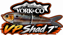 Load image into Gallery viewer, York Co Glide Baits