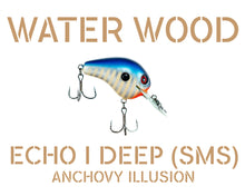 Load image into Gallery viewer, Water Wood Echo 1 Deep (E1D) Crankbait Pro Packaging
