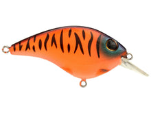 Load image into Gallery viewer, Berkley Clickin' Frittside 5 Junior