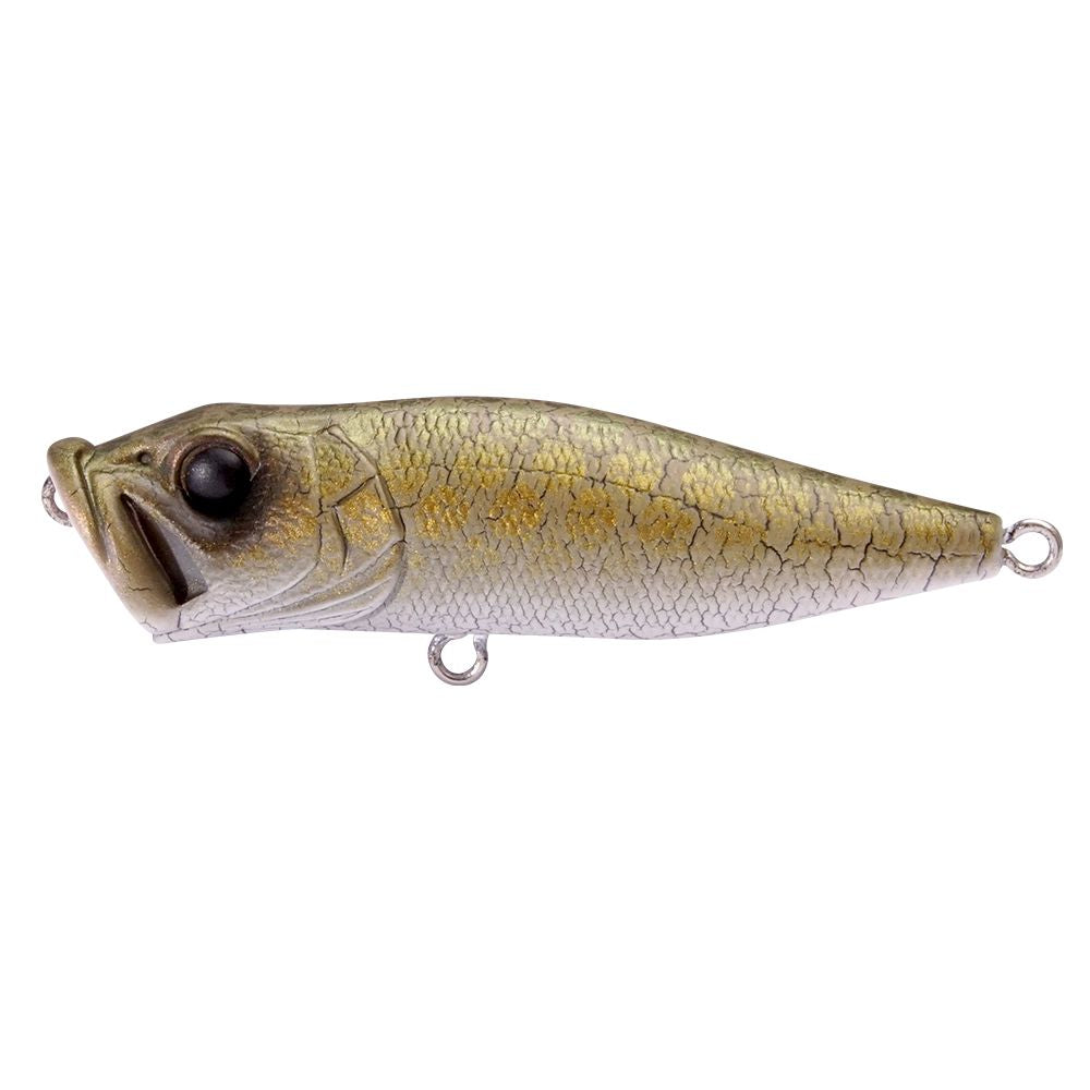 Megabass Pop X – Custom Tackle Supply