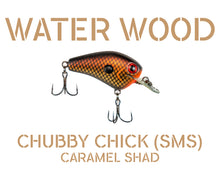 Load image into Gallery viewer, Water Wood Chubby Chick Pro Packaging
