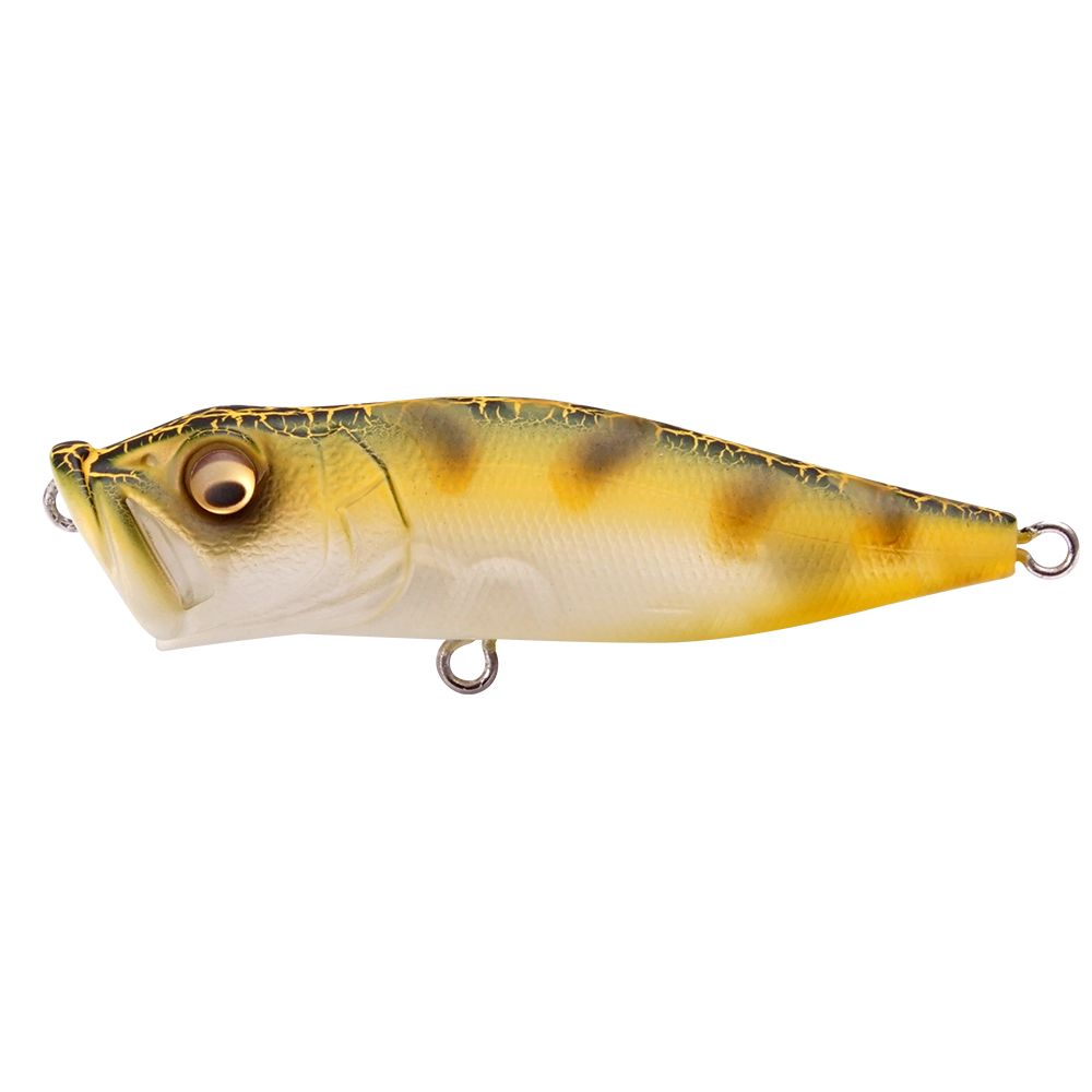 Megabass Pop X – Custom Tackle Supply