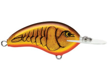 Load image into Gallery viewer, Rapala Ott's Garage Deep Tiny 07 Crankbaits