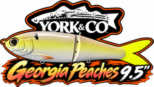 Load image into Gallery viewer, York Co Glide Baits