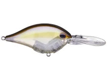Load image into Gallery viewer, Berkley Dime Crankbait