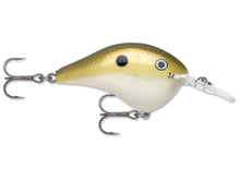 Load image into Gallery viewer, Rapala DT-10 Crankbait