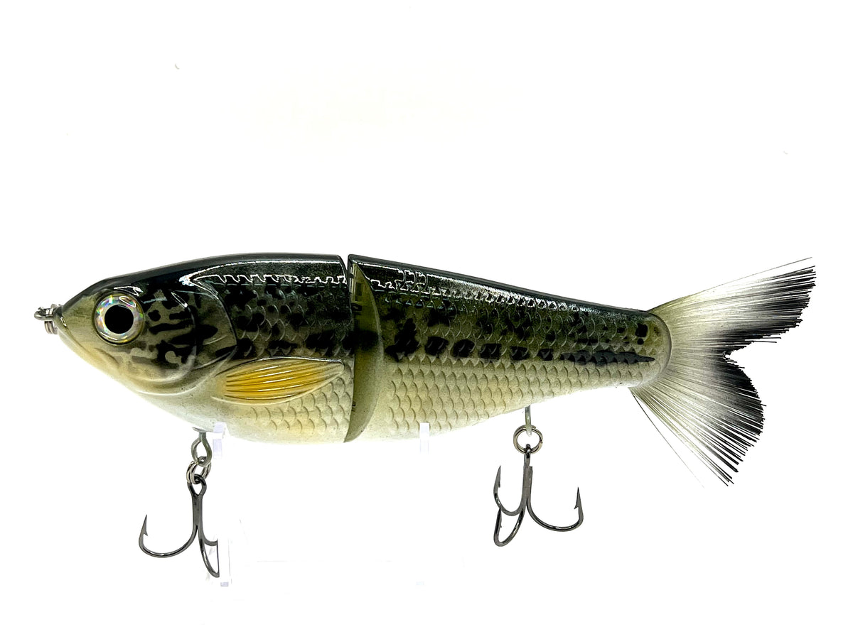 Dynasty Custom Lures Glide Baits