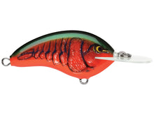 Load image into Gallery viewer, Rapala Ott's Garage Deep Tiny 07 Crankbaits