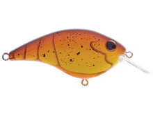 Load image into Gallery viewer, Berkley Clickin' Frittside 5