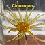 Load image into Gallery viewer, Queen Tackle Porcupine Balls