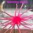 Load image into Gallery viewer, Queen Tackle Porcupine Balls
