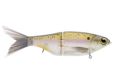 Load image into Gallery viewer, Spro Chad Shad