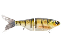 Load image into Gallery viewer, Spro Chad Shad