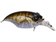 Load image into Gallery viewer, Megabass SR-X Griffon Bait Finesse