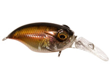 Load image into Gallery viewer, Megabass MR-X Griffon Bait Finesse