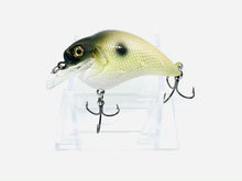 Load image into Gallery viewer, Combat Lures Custom Painted S Crank