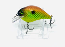 Load image into Gallery viewer, Combat Lures Custom Painted S Crank