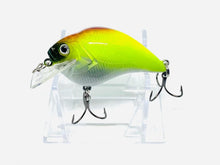 Load image into Gallery viewer, Combat Lures Custom Painted S Crank