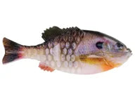 Load image into Gallery viewer, Berkley Powerbait Gilly 90mm