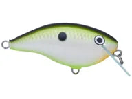 Load image into Gallery viewer, Rapala Ott's Garage OG Rocco 5 Crankbait