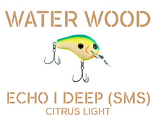 Load image into Gallery viewer, Water Wood Echo 1 Deep (E1D) Crankbait Pro Packaging
