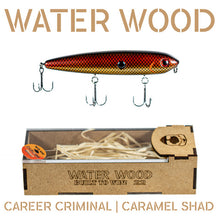 Load image into Gallery viewer, Water Wood Career Criminal