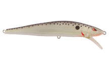 Load image into Gallery viewer, Spro Mike McClelland McStick 110 Jerkbait