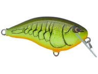 Load image into Gallery viewer, Rapala Ott's Garage OG Rocco 5 Crankbait