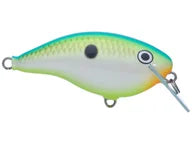 Load image into Gallery viewer, Rapala Ott's Garage OG Rocco 5 Crankbait