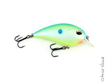 Load image into Gallery viewer, Jenko Fishing CD2 Squarebill Crankbait