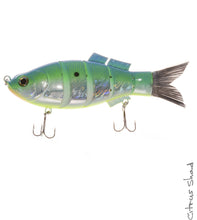 Load image into Gallery viewer, Jenko Fishing Jenkolistic Swimbait