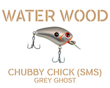 Load image into Gallery viewer, Water Wood Echo 1 Deep (E1D) Crankbait Pro Packaging