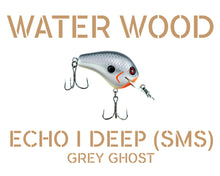 Load image into Gallery viewer, Water Wood Echo 1 Deep (E1D) Crankbait Pro Packaging
