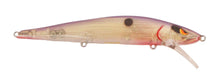 Load image into Gallery viewer, Spro Mike McClelland McStick 110 Jerkbait