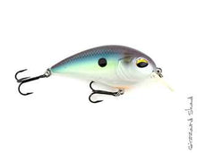 Load image into Gallery viewer, Jenko Fishing CD2 Squarebill Crankbait