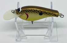 Load image into Gallery viewer, Southern Appalachian Lures V Series Crankbait