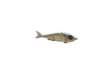 Load image into Gallery viewer, 6" Handcrafted Swimmer By Pulse Fish Lures