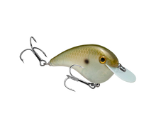 Load image into Gallery viewer, Strike King Chick Magnet Flat Side Crankbait