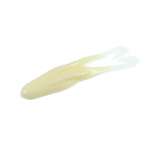 Load image into Gallery viewer, Zoom Horny Toad