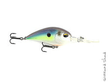 Load image into Gallery viewer, Jenko Fishing CD15 Deep Diving Crankbait