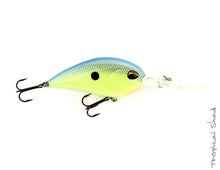 Load image into Gallery viewer, Jenko Fishing CD15 Deep Diving Crankbait