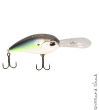 Load image into Gallery viewer, Jenko Fishing CD20 Deep Diving Crankbait