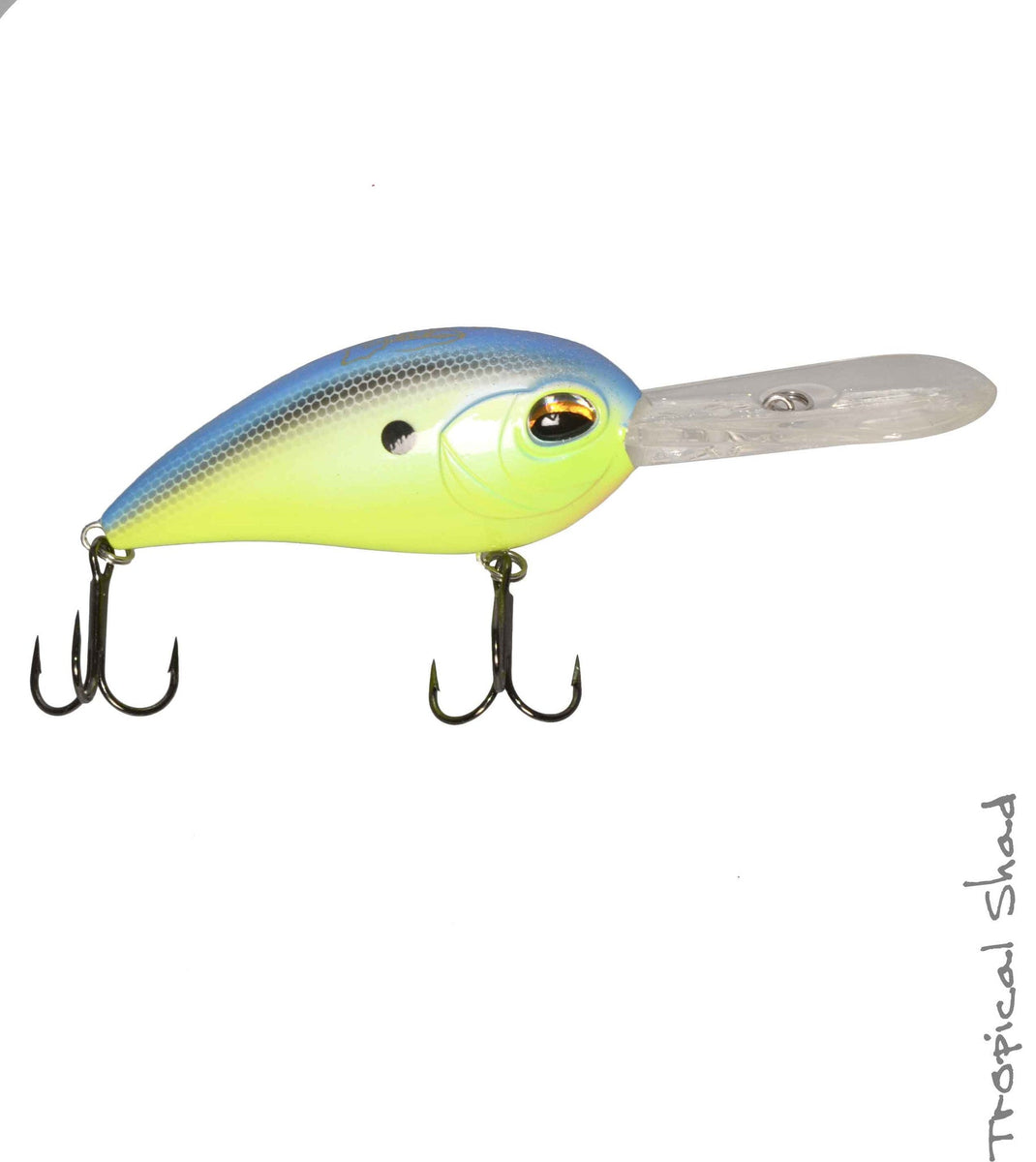 Jenko_CD25_Tropical_Shad_1200x