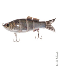 Load image into Gallery viewer, Jenko Fishing Jenkolistic Swimbait