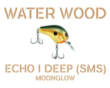 Load image into Gallery viewer, Water Wood Echo 1 Deep (E1D) Crankbait Pro Packaging