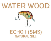 Load image into Gallery viewer, Water Wood Echo 1 (E1) Crankbait Pro Packaging